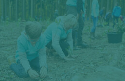 voluntary-work-tax-trap